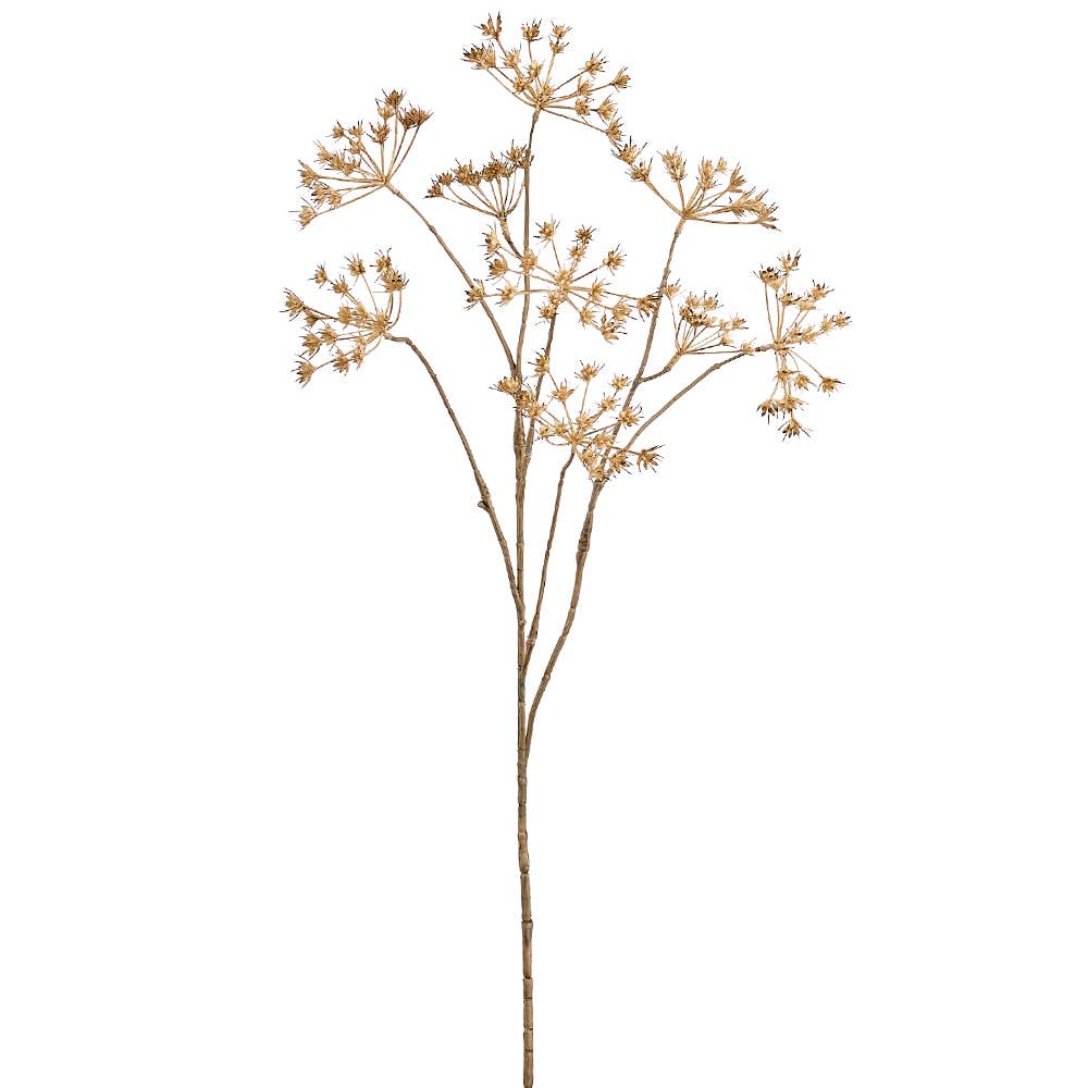 Cow Parsley Spray Beige | 30"