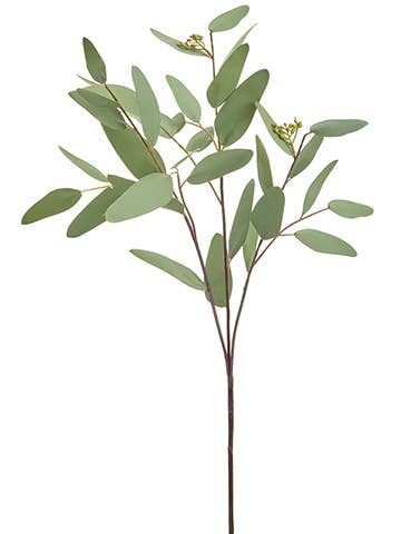 Eucalyptus Leaf Spray Green Gray | 31"