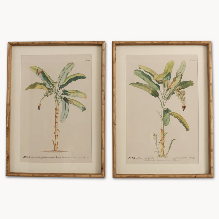 Brookby Set of 2 Framed Fruit Tree Wall Art