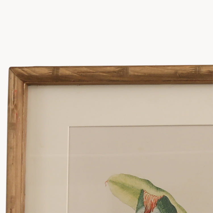 Brookby Set of 2 Framed Fruit Tree Wall Art