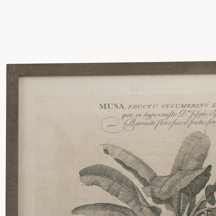 Brookby Set of 2 Framed Papaya Wall Art