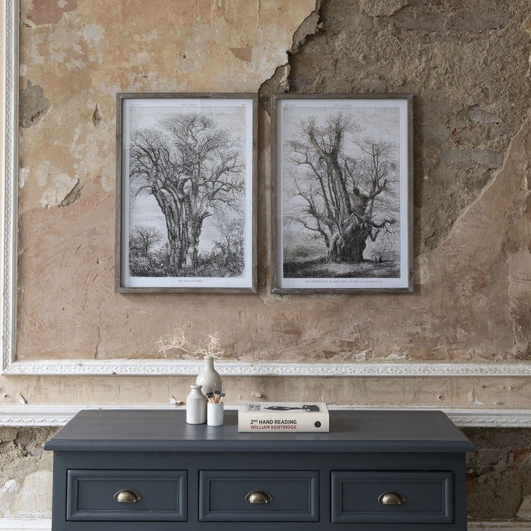 Brookby Set of 2 Old Tree Wall Art