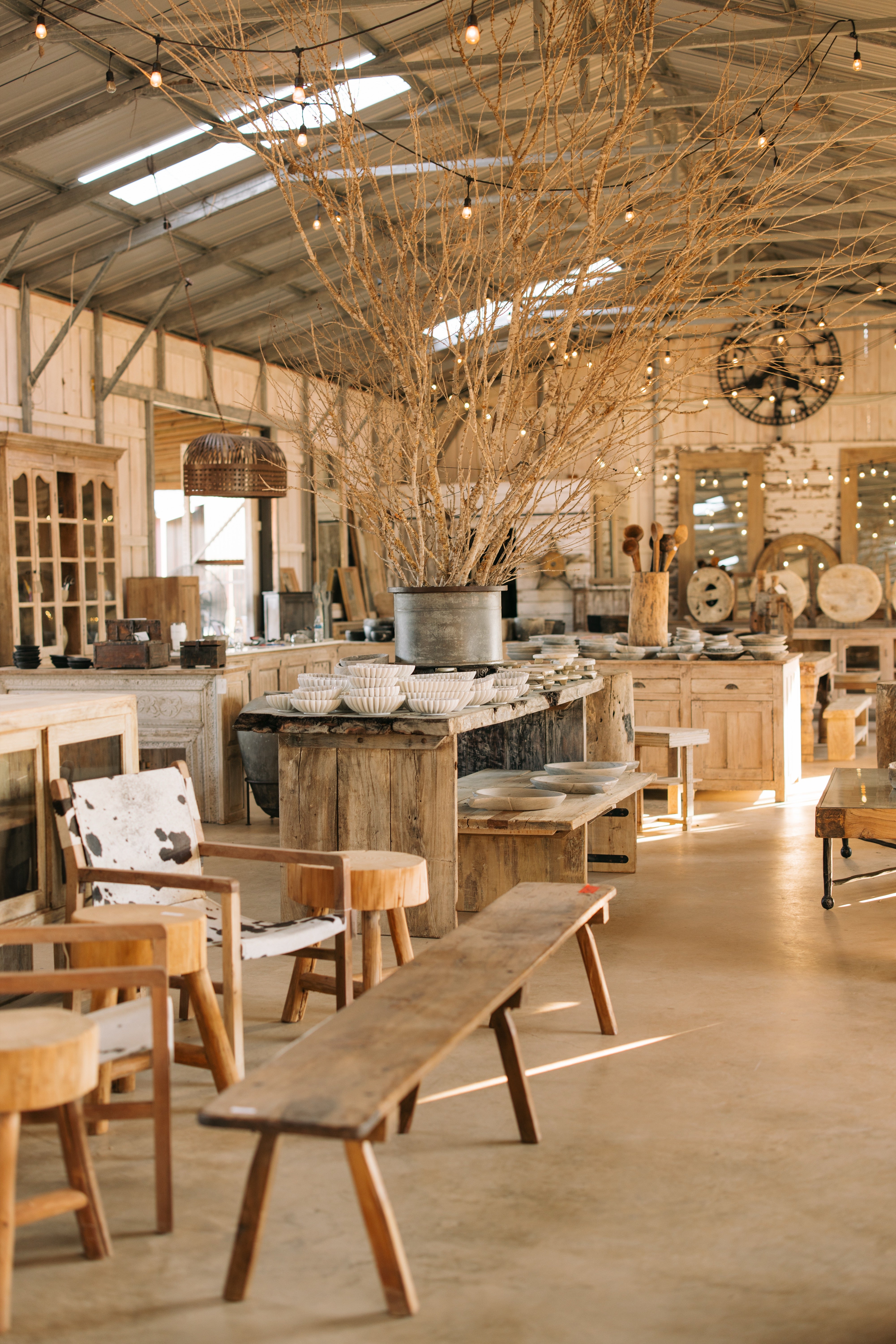 Explore the Store