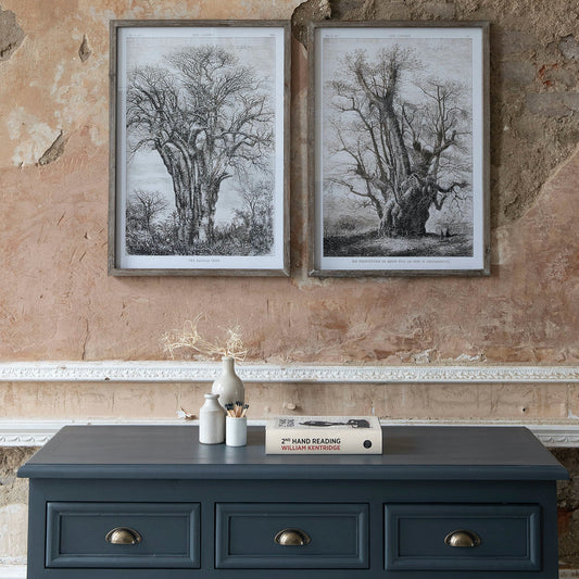 Rivington Set of 2 Old Tree Framed Prints