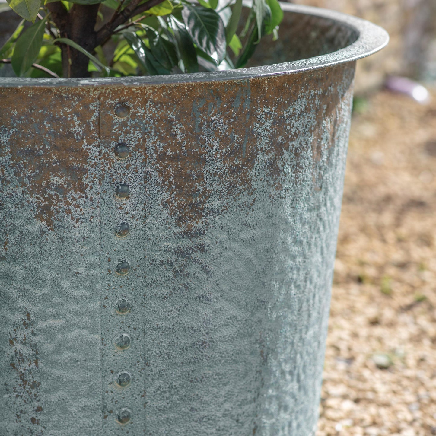 Yarnton Weathered Iron Planter