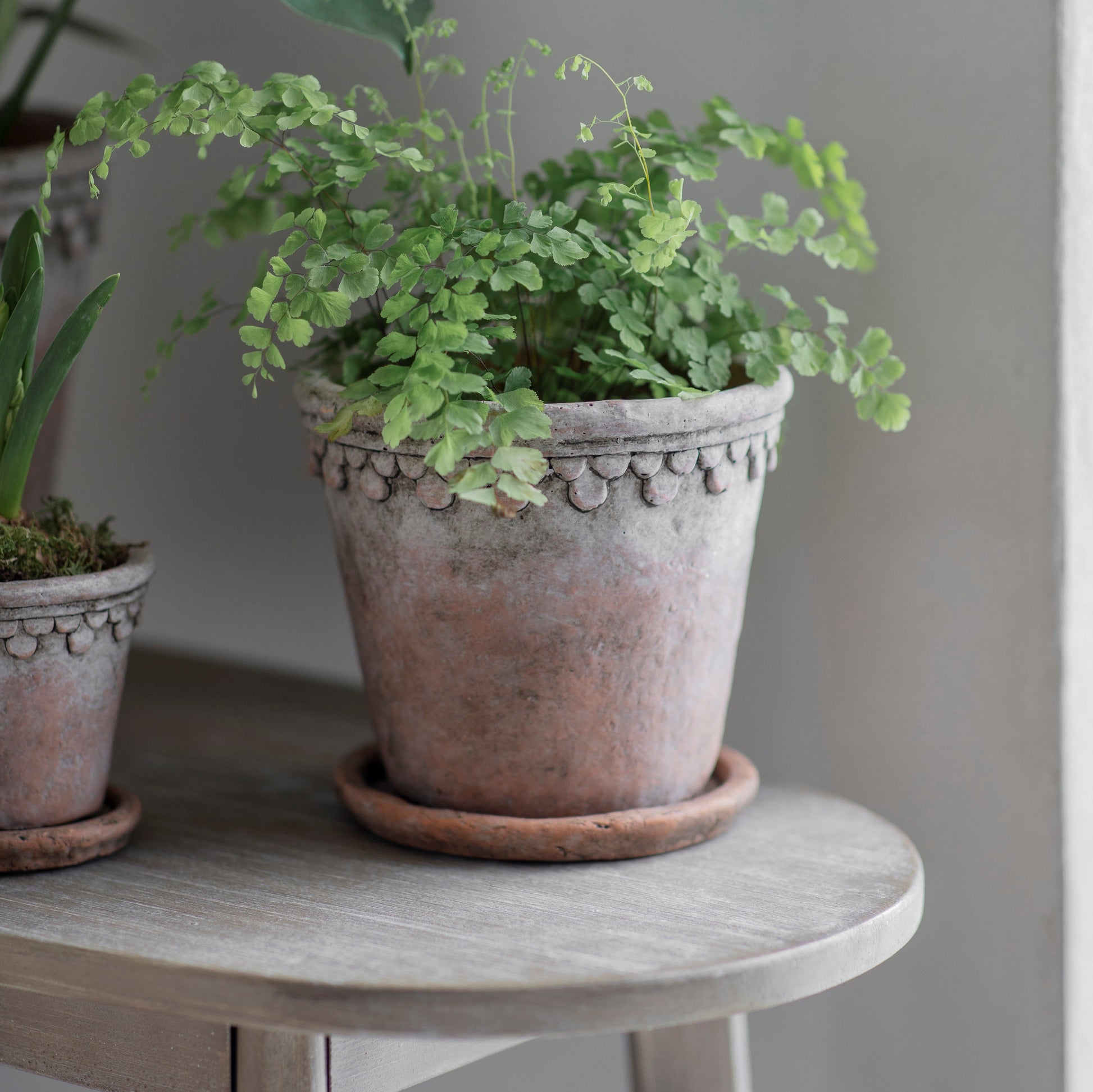 Bratton Planter
