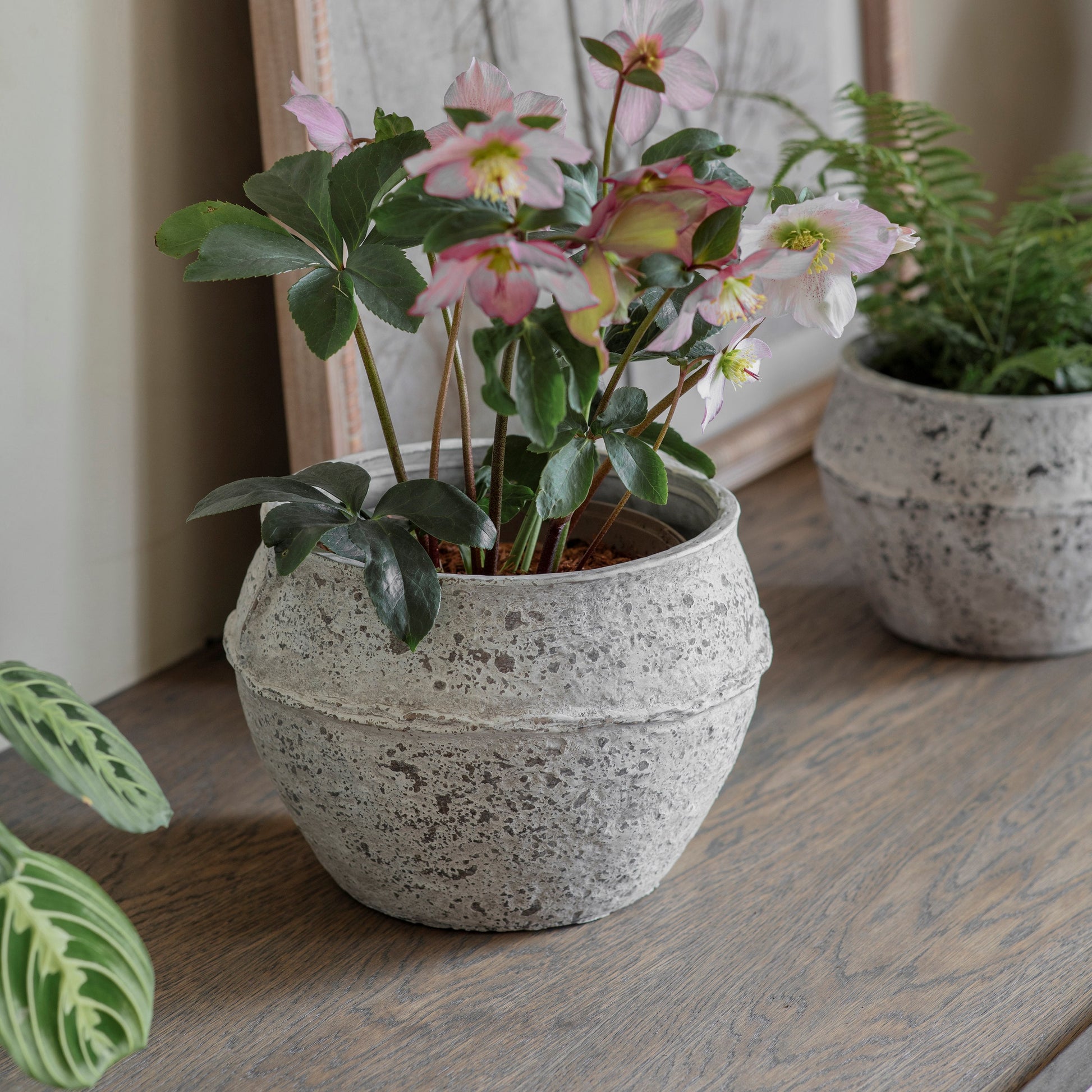 Birkdale Stone Pot