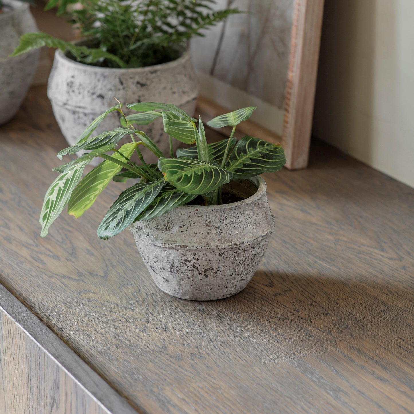 Birkdale Stone Pot
