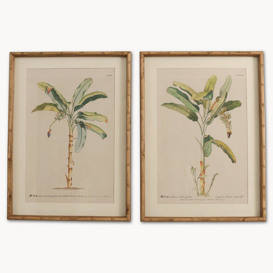 Brookby Set of 2 Framed Fruit Tree Wall Art