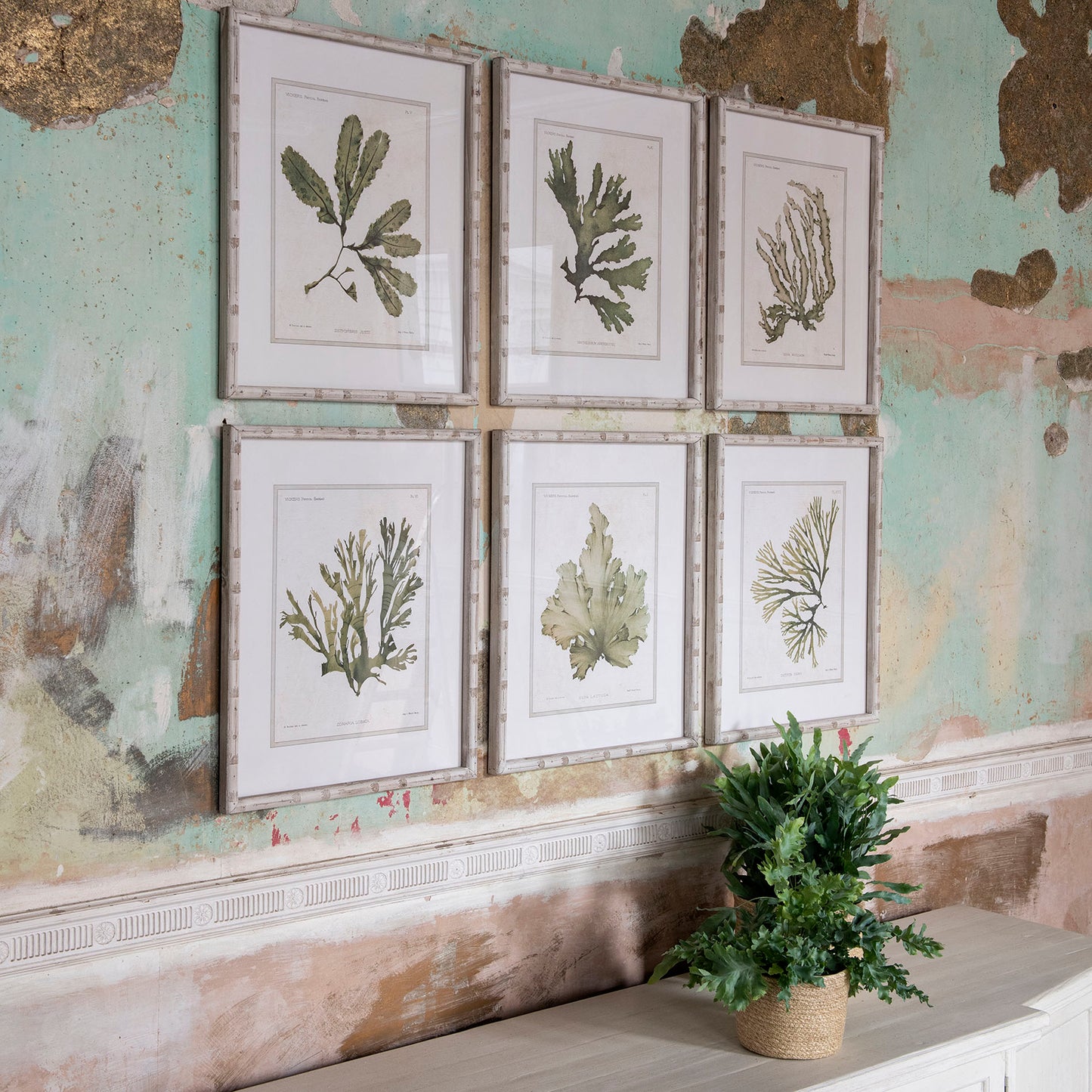 Woodstock Set of 6 Coral Framed Prints