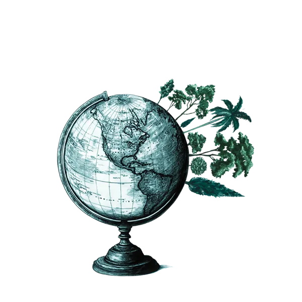 ONE.WORLDFOREST