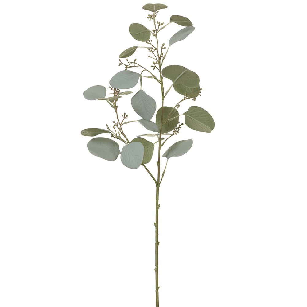 Blooming Eucalyptus Spray Green Gray | 23.5"