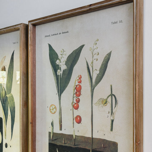 Brookby Set of 2 Framed Lily of Valley and Crocus Wall Art