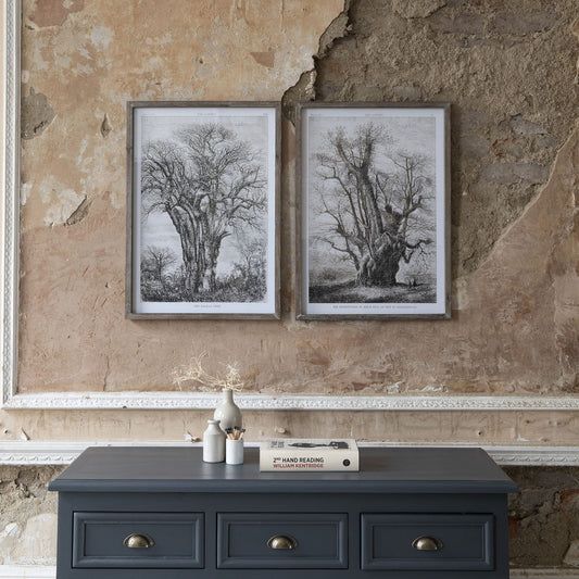 Brookby Set of 2 Old Tree Wall Art