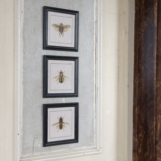 Brookby Set of 3 Bee Wall Art