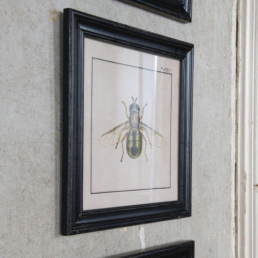 Brookby Set of 3 Bee Wall Art