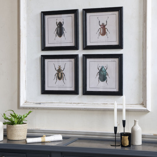 Brookby Set of 4 Beetle Wall Art