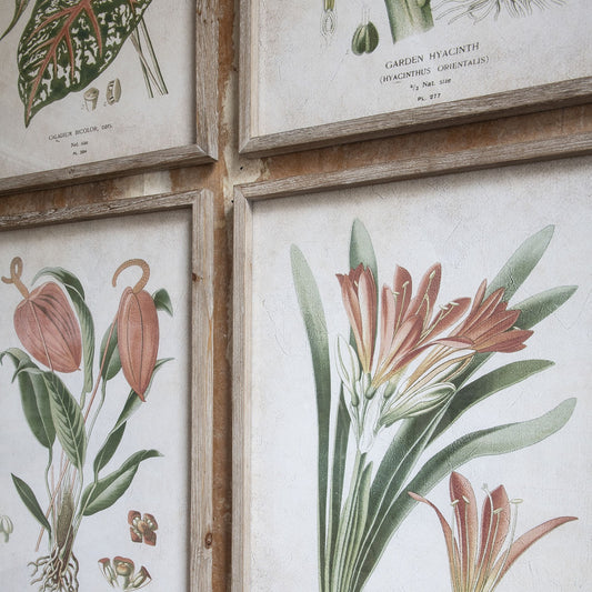 Brookby Set of 4 Red Botanical Wall Art