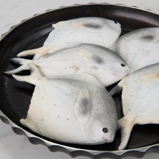 Kenton Decorative Fish